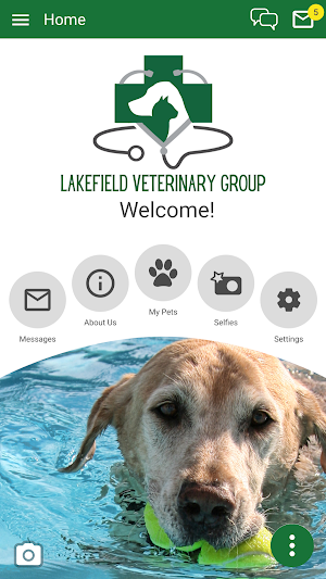 Lakefield Vet Screenshot 0
