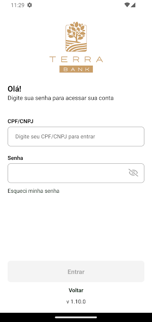 Terra Bank Screenshot 1