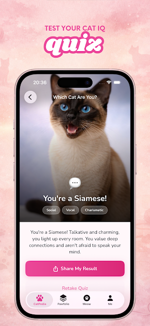 Cat: MeowPedia Screenshot 3