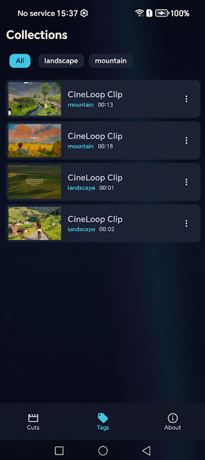 CineLoop Screenshot 1