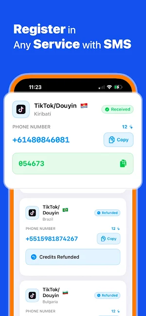 SafeSim - SMS Verification Screenshot 3