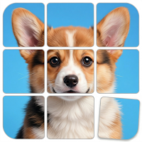 Jigmagic Solitaire Stories