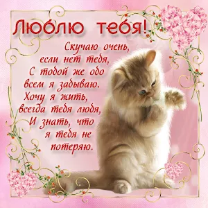 Я люблю тебя Screenshot 1