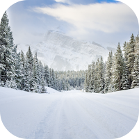 Winter Wallpaper