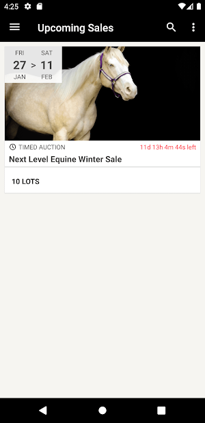 Next Level Equine Screenshot 0