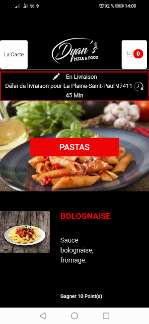 DYAN S PIZZA & FOOD Screenshot 2