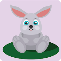 HD Material Rabbit