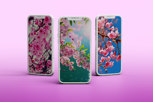 Cherry Blossom Wallpaper Screenshot 2