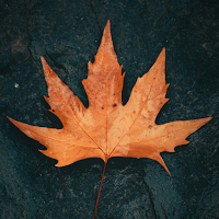 TrueCanada