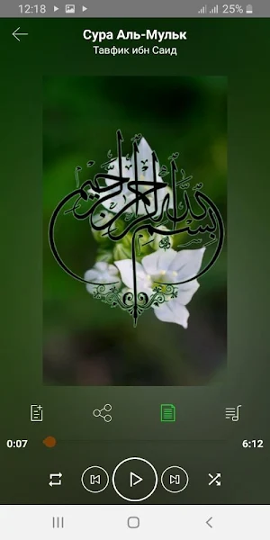 Сура Аль-Мульк аудио Screenshot 2
