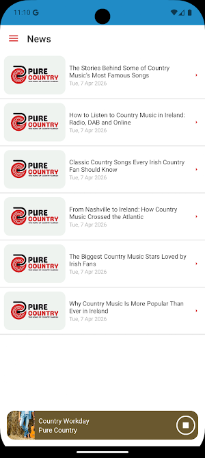 Pure Country Screenshot 2