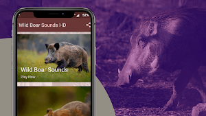 WildBoar Sounds - Wild Boar Calls for Hunting Screenshot 1