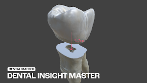 Dental Insight Master Screenshot 1