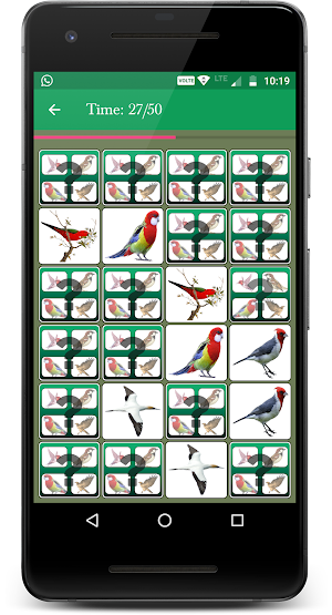 Bird Memory Matching Game Screenshot 3