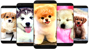 🦮 Dog Wallpaper HD 🦮 Screenshot 0