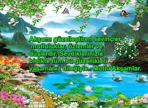 mutlu akşamlar Screenshot 0