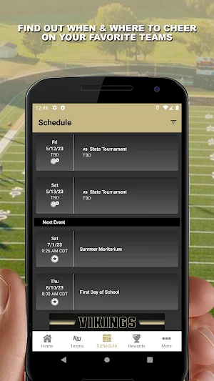 Northwest Vikings Screenshot 1