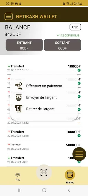Netikash Pay Screenshot 2