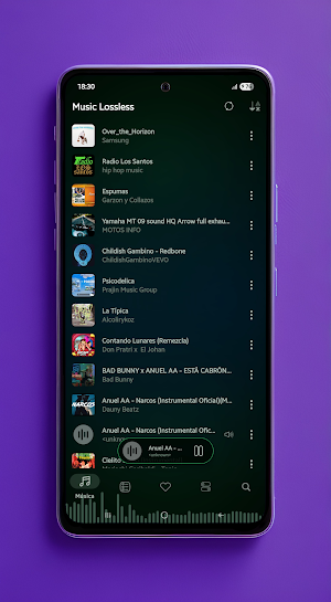 Music Lossless - Music Player Screenshot 3