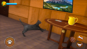 Cat Simulator 2021: Virtual Cat Life 2021 Screenshot 0