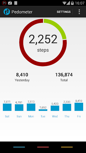 Pedometer Screenshot 0