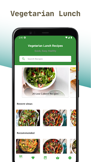 Vegetarian Lunch Recipes App Screenshot 0