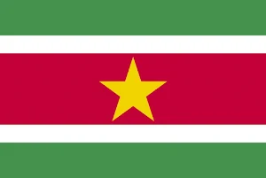 Suriname Analog Watch Face Screenshot 2