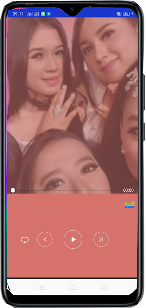 OM Pallapa Screenshot 2