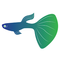 Aaniss Guppy