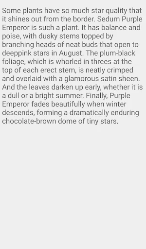 Sedum Purple Emperor Screenshot 1