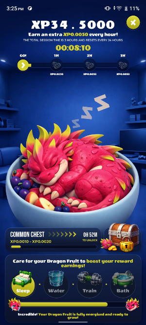 Dragon Fruit Screenshot 3
