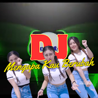 Dj Mengapa Kau Berubah
