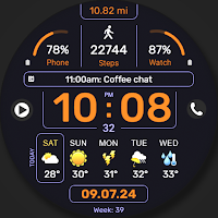 WFP 341 Informer watch face