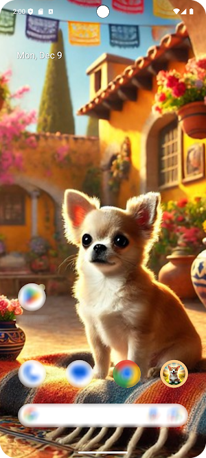 Dogs Wallpapers HD Screenshot 0