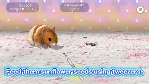 Play with your hamster Screenshot 1