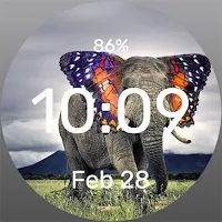 Elephant Butterfly Watch Face
