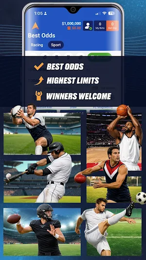 BetPinnacle Screenshot 3