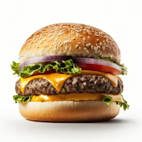 Recettes de Hamburgers
