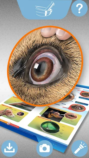 LappSantgar Screenshot 2