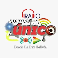Radio Y Sonido Unico
