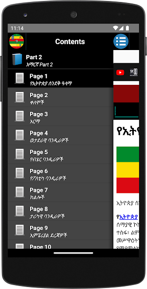 Ethiopian Flag/የኢትዮጵያ ሰንደቅ ዓላማ Screenshot 0