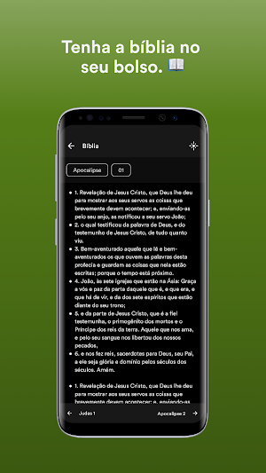 TRADICIONAL COARI Screenshot 2