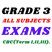 Grade 3 Exams: Term I, II, III