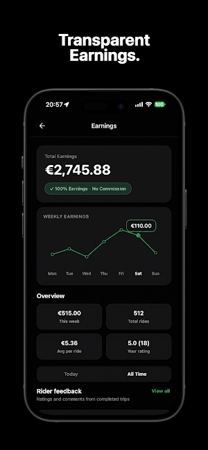 Nisu Driver Screenshot 2