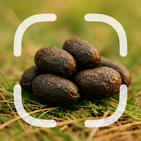 Droppings Identifier