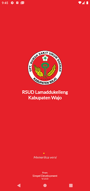 Antrian RSUD Lamaddukelleng Screenshot 0