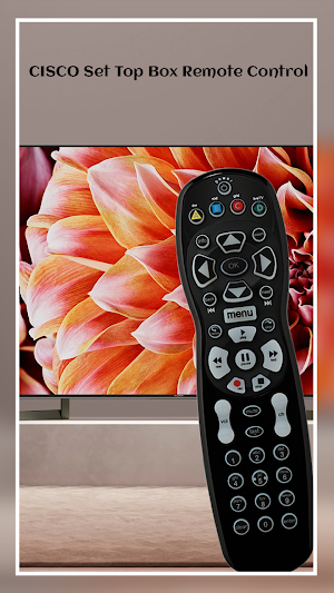Set Top Box Remote for CISCO Screenshot 0