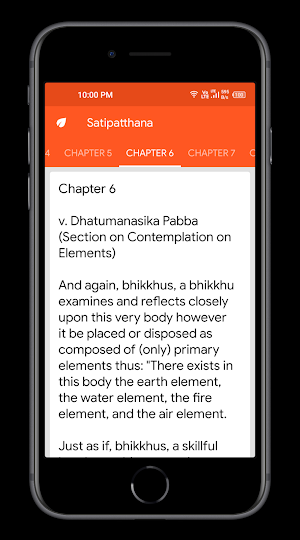 Satipatthana: The Mindfulness Screenshot 2