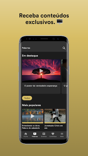 SIB Carangola Screenshot 1