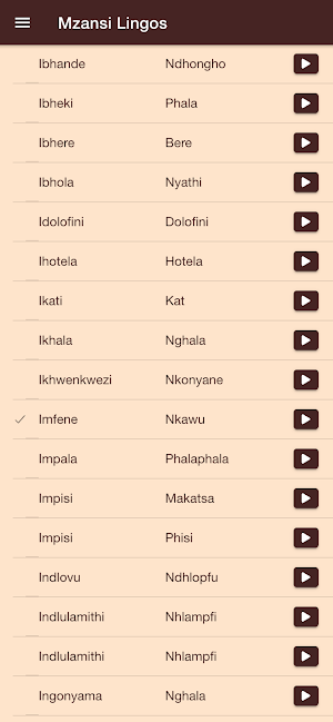 Mzansi Lingos Screenshot 2